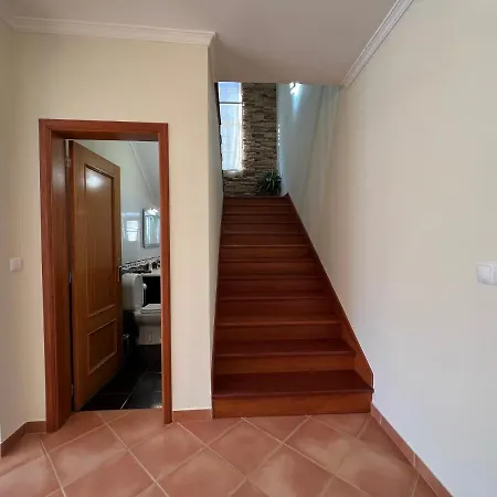 Briola By Analodges *