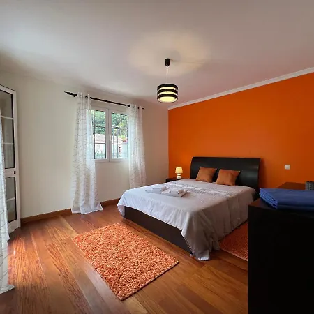 Briola By Analodges *