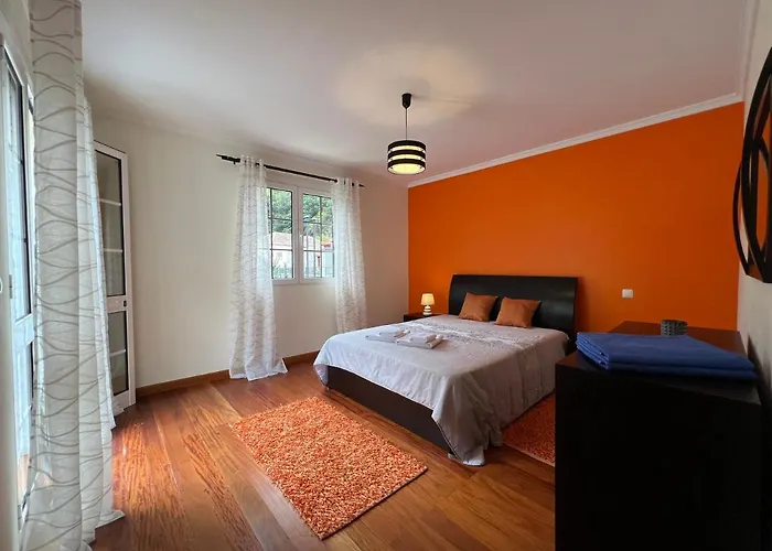 Briola By Analodges *