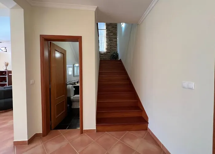 Briola By Analodges *